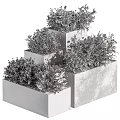 Colorful Potted Plants In Gray Concrete Planters With Various Heights Stepped Arrangement And Vibrant Flowers