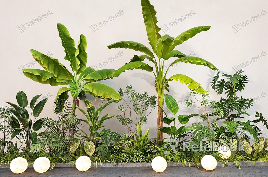 Plant Combination Spring Feather Banana Tree Bird of Paradise Green Plant Flower Pond Flower Box Green Plant Pile model