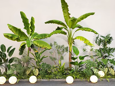 Lush Tropical Green Plant Arrangement With Tall Banana Leaf Plants And White Spherical Lights 3d model