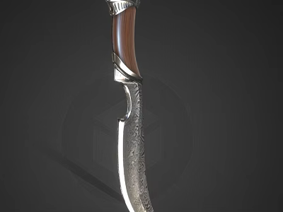 Traditional Weapon Knife With Engraved Blade Wooden Handle And Silver Decoration 3d model