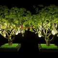 Illuminated Arbor Trees With Hanging Lights And Square Bases On Green Grass