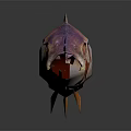 Colorful Fish With Purple Pink Black Stripes Orange Fins Large Eyes On Dark Background Reflection