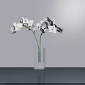 Transparent Square Vase With White Orchids On Gray Countertop And Light Gray Wall With Reflection