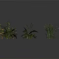 Various Types of Green Plants Including Ferns and Herbs Arranged on Gray Background
