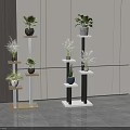 Potted Plants On Multi Tiered Light And Black White Stands In Modern Interior