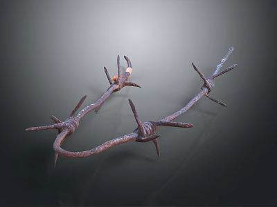 Barbed Wire Fence With Sharp Rustic Barbs For Security And Boundary Marking 3d model