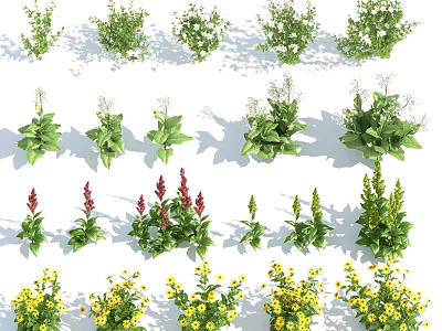 Various Flowers and Plants Including Green Foliage White Blooms Red Spikes and Yellow Blossoms 3d model
