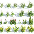 Various Flowers and Plants Including Green Foliage White Blooms Red Spikes and Yellow Blossoms