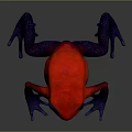 Colorful Red Frog with Blue Legs and Black Eyes on Gray Surface