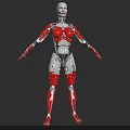 Futuristic Humanoid Robot With White Head Red Lips And Red Silver Armor