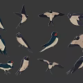 Swallows Illustration with Various Poses and Different Flying Postures on Gray Background