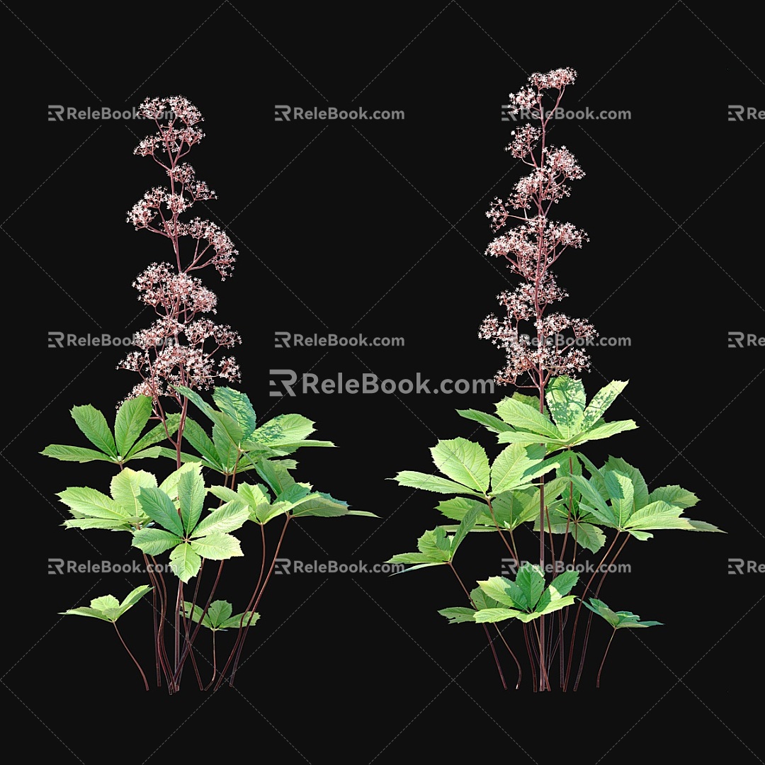 plant plant plant green plant grass flowers herbs leaves 3d model