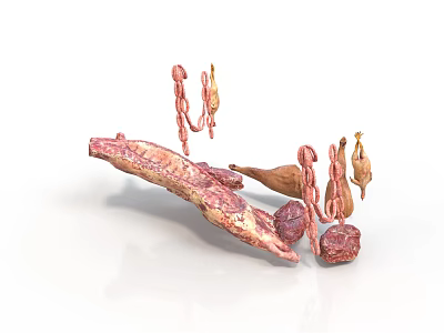 Variety Of Fresh Raw Meat Pieces Including Different Cuts Chunks And Slices 3d model