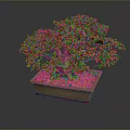 Bonsai Tree in Square Ceramic Pot with Orange Pebbles and Lush Green Foliage