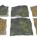Park Landscape With Diverse Terrain Textures Green Vegetation Gray Rock And Brown Soil