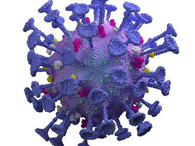 Modern New Coronavirus New Coronavirus Bacterial Cell Biological Research Biochemistry Scientific Research Drawing 3d model