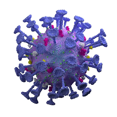 Virus 3D Rendering Showing Purple Structure With Pink Yellow Components And Spike Proteins 3d model