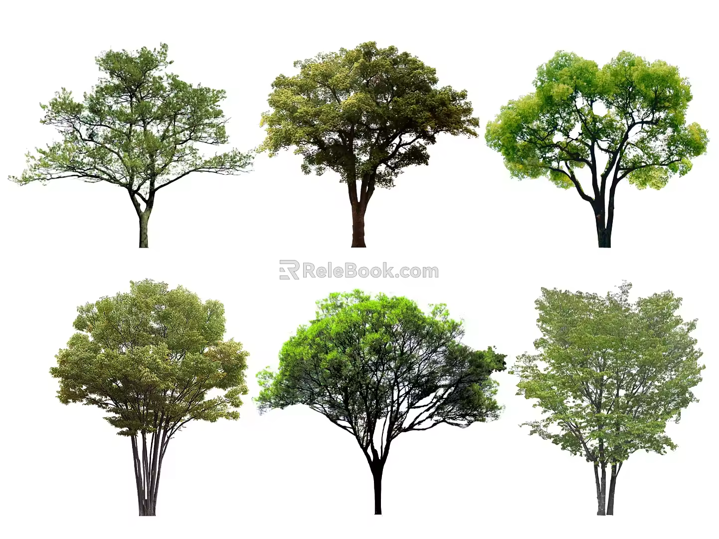 Modern trees Camphor trees Bushy trees Chinese tallow trees Park trees Landscape trees Street trees Ancient trees Model trees Big trees Trees 3d model