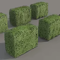 Six Green Cube Shaped Shrubs Neatly Arranged on Gray Background 3d model