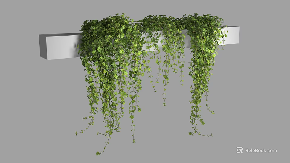 Lush Green Vines Hanging From White Shelf With Trailing Leaves 3d model 