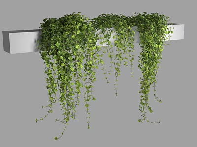 Lush Green Vines Hanging From White Shelf With Trailing Leaves 3d model