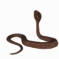 Brown Reptile Cobra With Hooded Neck And Scaled Body In Natural Posture