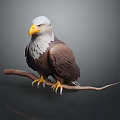 Majestic Bald Eagle Perched On Wooden Branch With White Head And Yellow Talons
