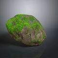 Natural Stone with Green Moss Covered Surface in Natural Decorative Landscaping Design