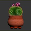 Green Spherical Cactus With Yellow Spines And Pink Flowers In Red Terracotta Legged Pot