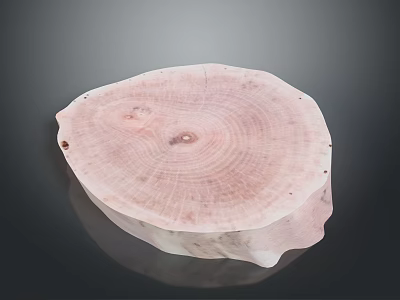 Natural Wooden Round Slice With Tree Ring Grain And Smooth Surface Decorative Piece 3d model