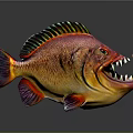 Colorful Aquatic Fish with Sharp Teeth Vibrant Red Orange Fins and Reflective Underwater Body