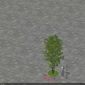 Arbor with Green Circular Area in Gray Brick Pavement and Human Figure Near Rongjing