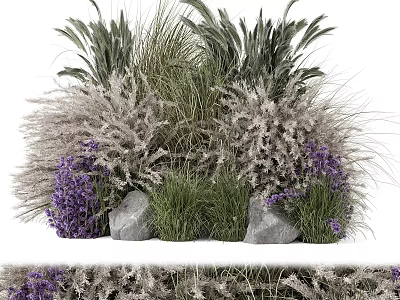 Vibrant Assorted Flowers And Ornamental Grasses With Purple Lavender Green Foliage And Garden Stones 3d model