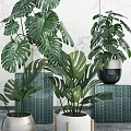 Indoor Decorative Potted Green Plants with Large Leaves in Various Stylish Pots Against Marble Wall
