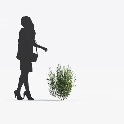 Modern shrubs 3d model