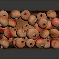 Fresh Ripe Juicy Pomegranates Neatly Packed In Rustic Wooden Crate