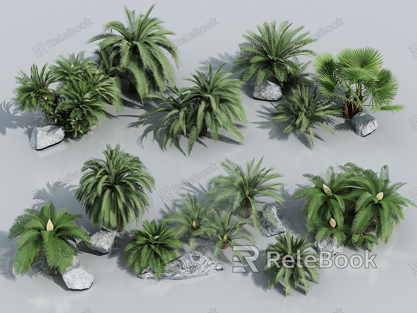 Palm Plants Tropical Plants Coconut Tree Palm Tree Scatter Sunflower Scatter Sunflower model