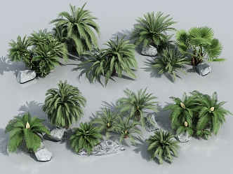 Palm Plants Tropical Plants Coconut Tree Palm Tree Scatter Sunflower Scatter Sunflower 3d model