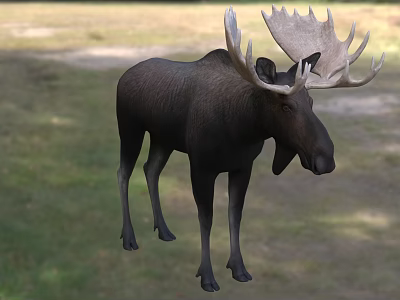 Large Reptile Lizard Resting On Tree Branch In Tropical Forest Habitat 3d model