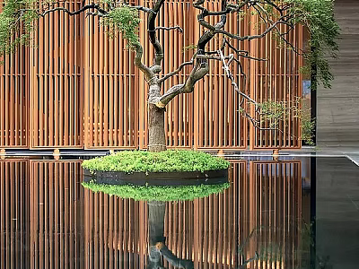 Tree In Wooden Lattice Background On Circular Grassy Island With Water Reflection 3d model