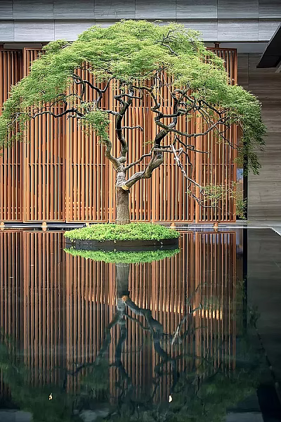 Tree In Wooden Lattice Background On Circular Grassy Island With Water Reflection 3d model