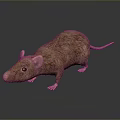 3D Rendered Brown Mouse With Pink Ears And Tail On Dark Background With Reflection