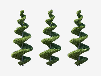 Three Neatly Trimmed Spiral Shaped Shrubs For Outdoor Garden Design 3d model