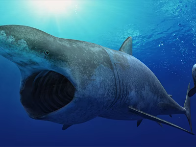 Giant Shark With Open Mouth Swimming In Blue Ocean Water Under Sunlight 3d model