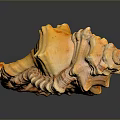 Yellow Conch Shell Exhibiting Detailed Spiral Texture And Natural Patterns On Dark Background 3d model