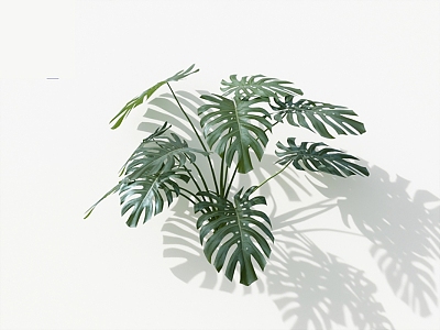 Modern Bamboo Turtle Bamboo Series Green Plant Flowers model