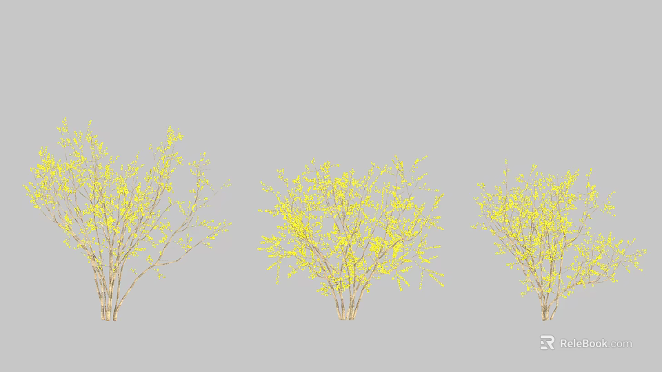 Three Arbor Trees With Yellow Blossoms In Spring Landscaping Design 3d model