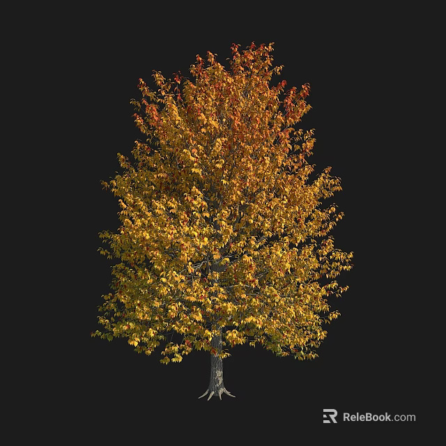 Autumn Deciduous Tree with Vibrant Yellow and Orange Leaves on Black Background 3d model 