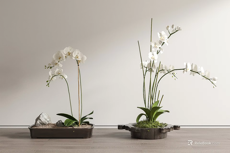 White Orchid Bonsai Potted Plants In Square Pots With Stones And Moss 3d model 