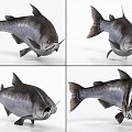 Salmon Bound and Animated King Salmon Chinook Salmon 3d model